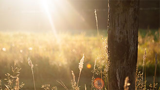 攻击网站在线工具